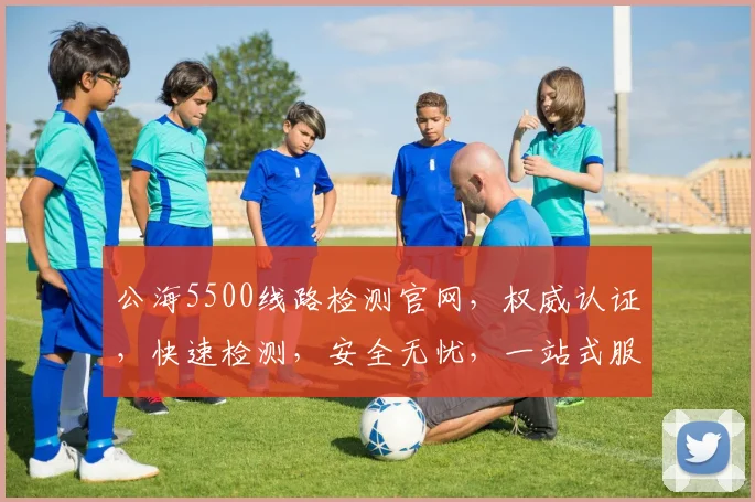公海5500线路检测官网，权威认证，快速检测，安全无忧，一站式服务，三重保障，轻松解决